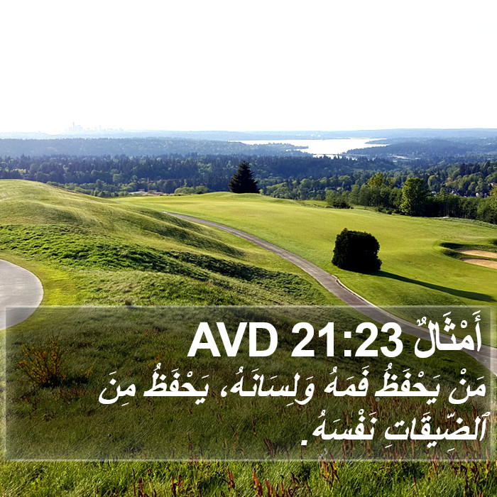 أَمْثَالٌ 21:23 AVD Bible Study