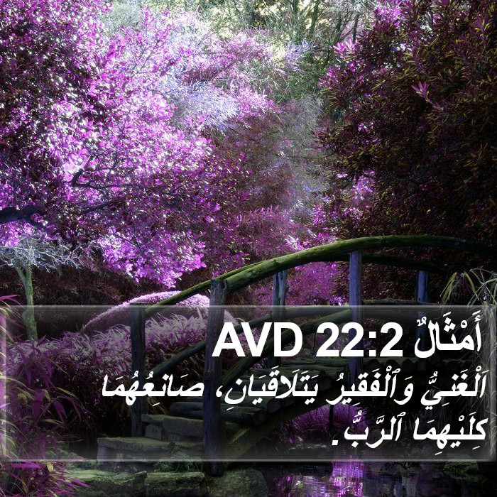 أَمْثَالٌ 22:2 AVD Bible Study