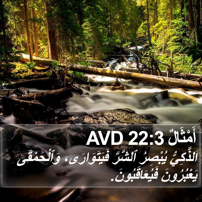 أَمْثَالٌ 22:3 AVD Bible Study