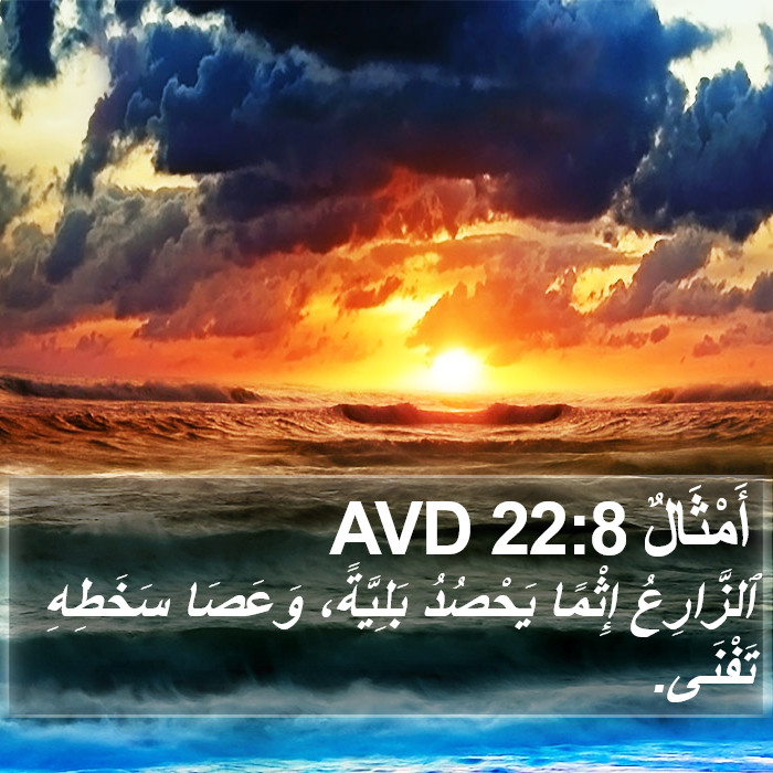 أَمْثَالٌ 22:8 AVD Bible Study