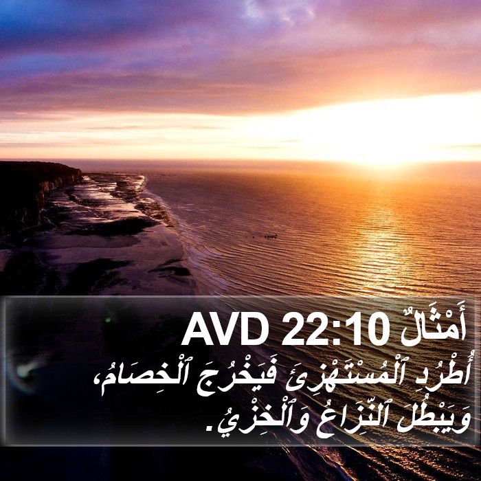 أَمْثَالٌ 22:10 AVD Bible Study