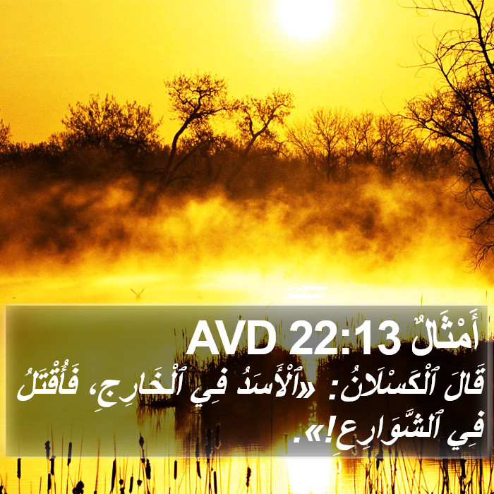 أَمْثَالٌ 22:13 AVD Bible Study