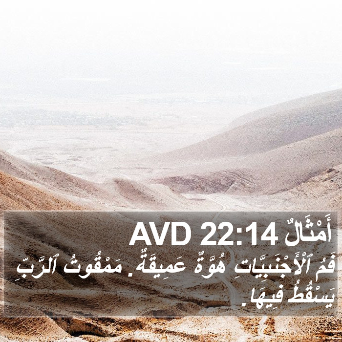 أَمْثَالٌ 22:14 AVD Bible Study