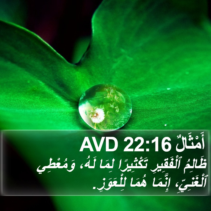 أَمْثَالٌ 22:16 AVD Bible Study