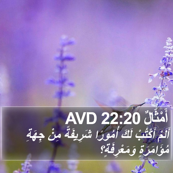 أَمْثَالٌ 22:20 AVD Bible Study