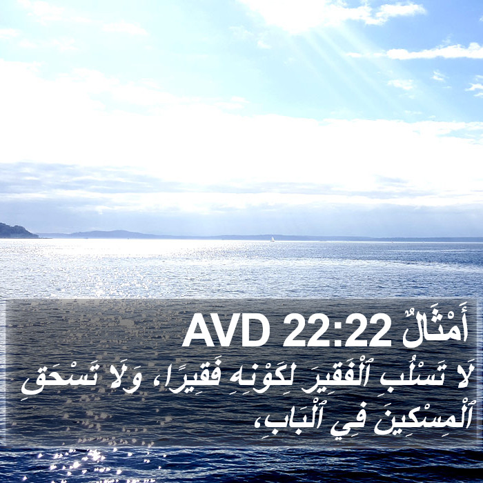 أَمْثَالٌ 22:22 AVD Bible Study