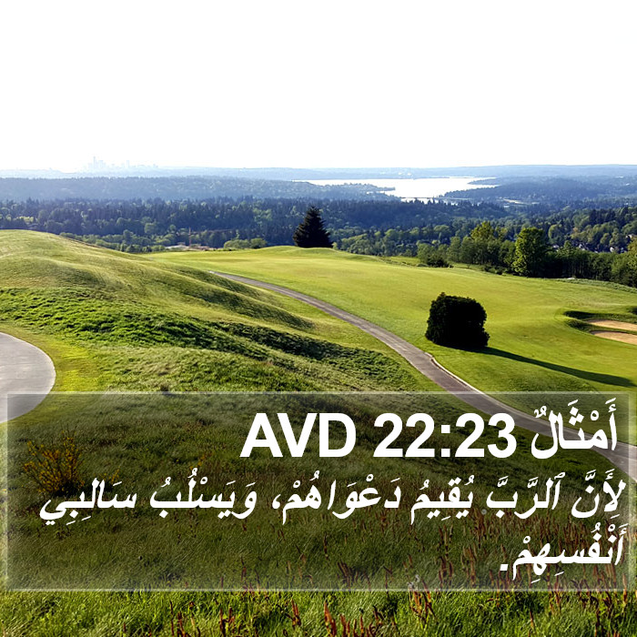 أَمْثَالٌ 22:23 AVD Bible Study