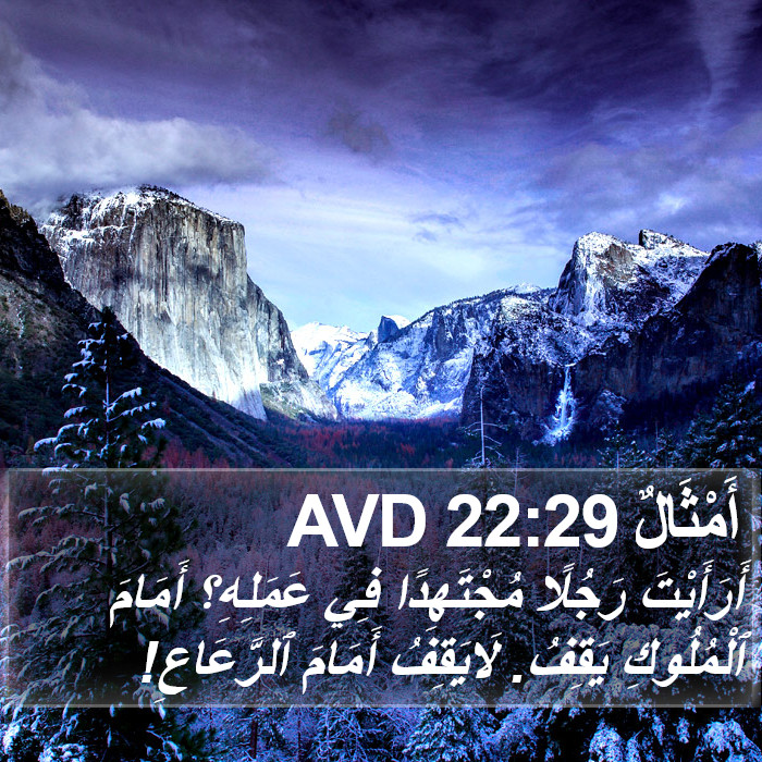 أَمْثَالٌ 22:29 AVD Bible Study