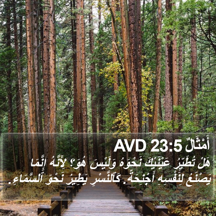 أَمْثَالٌ 23:5 AVD Bible Study