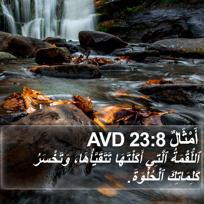 أَمْثَالٌ 23:8 AVD Bible Study
