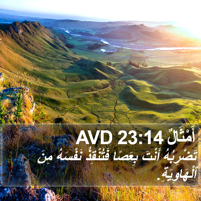 أَمْثَالٌ 23:14 AVD Bible Study