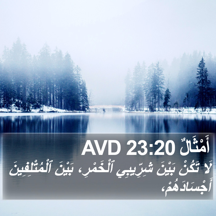 أَمْثَالٌ 23:20 AVD Bible Study