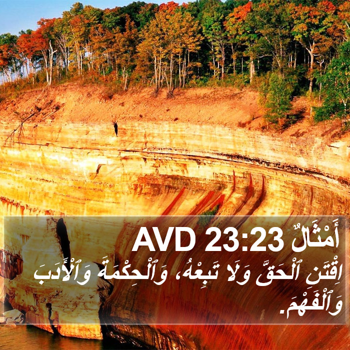 أَمْثَالٌ 23:23 AVD Bible Study