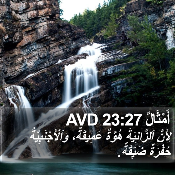 أَمْثَالٌ 23:27 AVD Bible Study