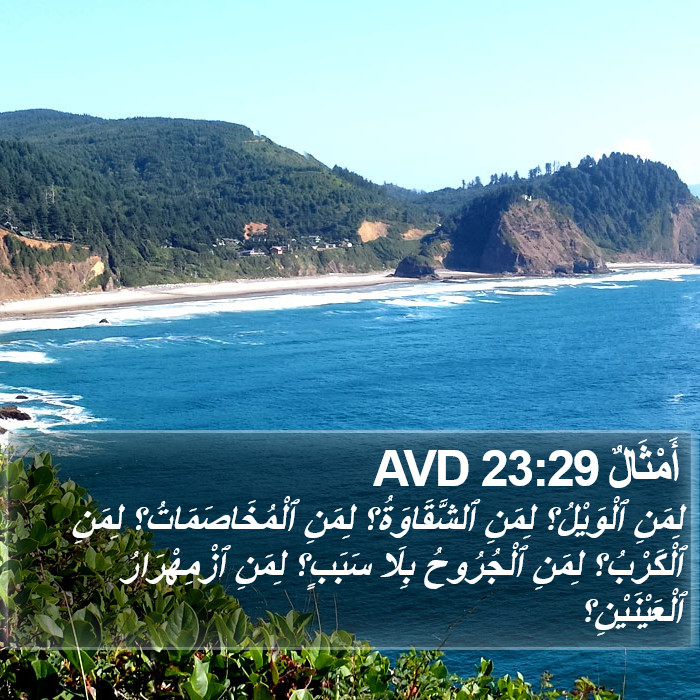 أَمْثَالٌ 23:29 AVD Bible Study