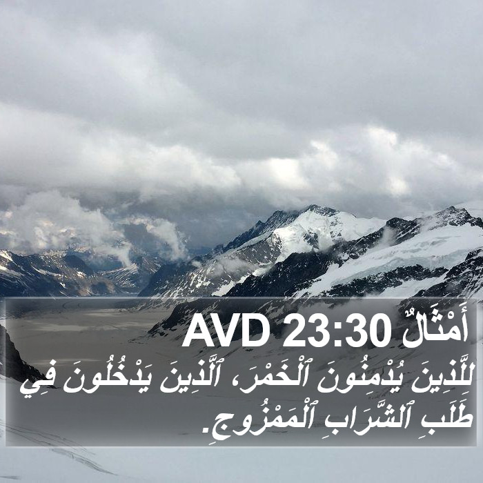 أَمْثَالٌ 23:30 AVD Bible Study