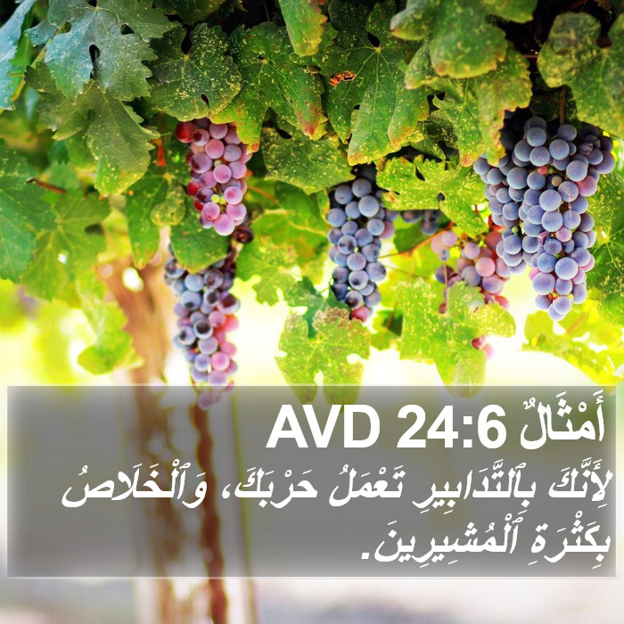 أَمْثَالٌ 24:6 AVD Bible Study