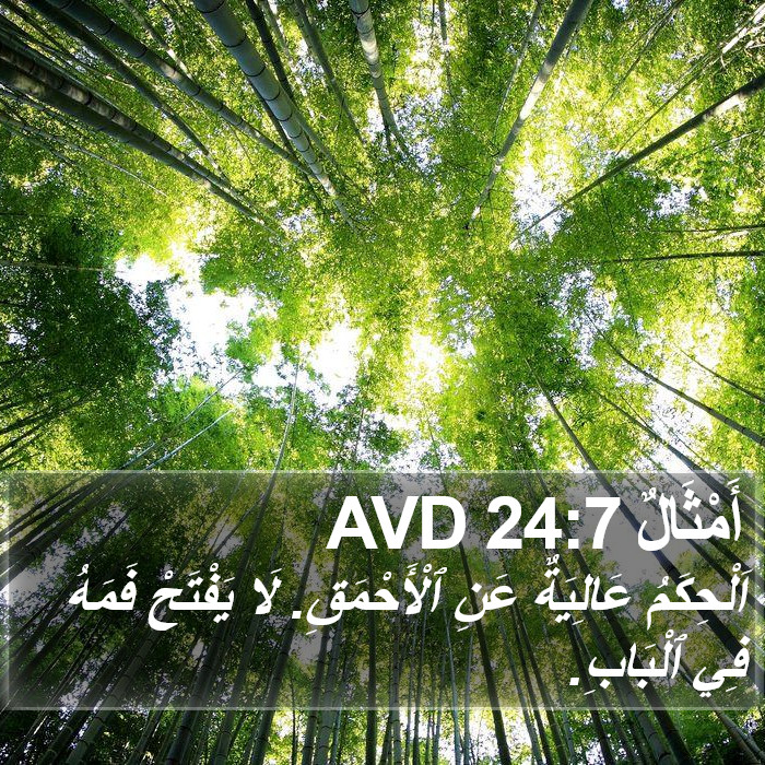 أَمْثَالٌ 24:7 AVD Bible Study