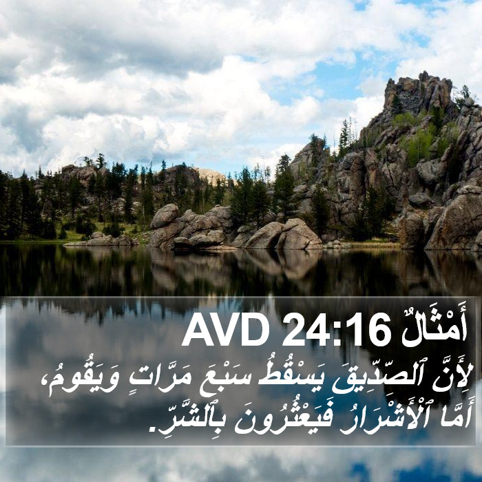 أَمْثَالٌ 24:16 AVD Bible Study