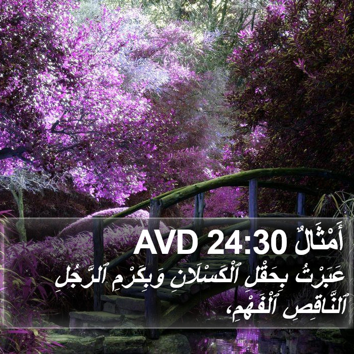 أَمْثَالٌ 24:30 AVD Bible Study