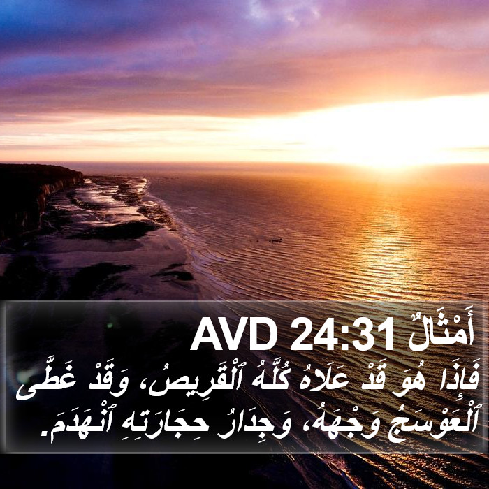 أَمْثَالٌ 24:31 AVD Bible Study