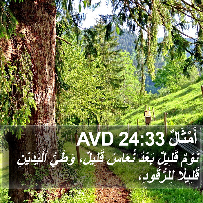 أَمْثَالٌ 24:33 AVD Bible Study