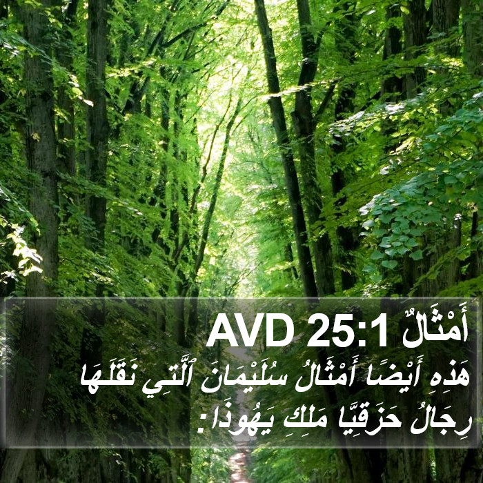 أَمْثَالٌ 25:1 AVD Bible Study