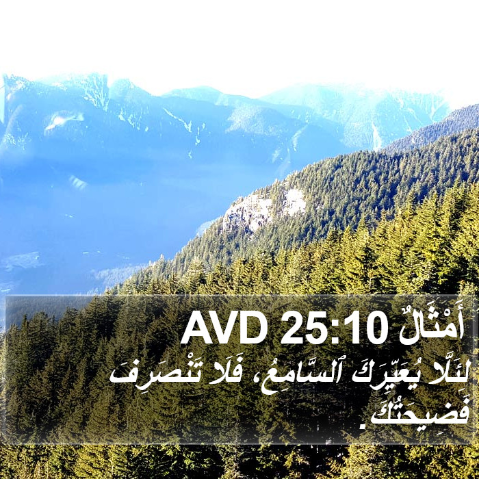 أَمْثَالٌ 25:10 AVD Bible Study