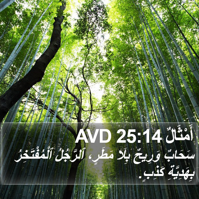 أَمْثَالٌ 25:14 AVD Bible Study