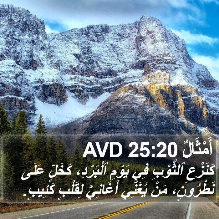 أَمْثَالٌ 25:20 AVD Bible Study