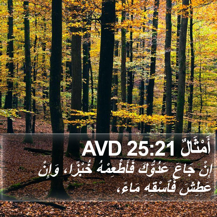 أَمْثَالٌ 25:21 AVD Bible Study