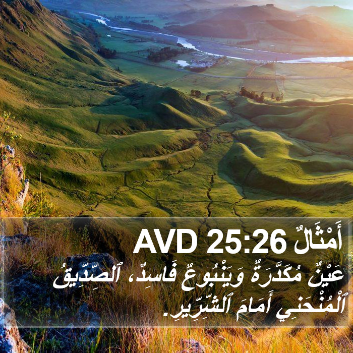 أَمْثَالٌ 25:26 AVD Bible Study