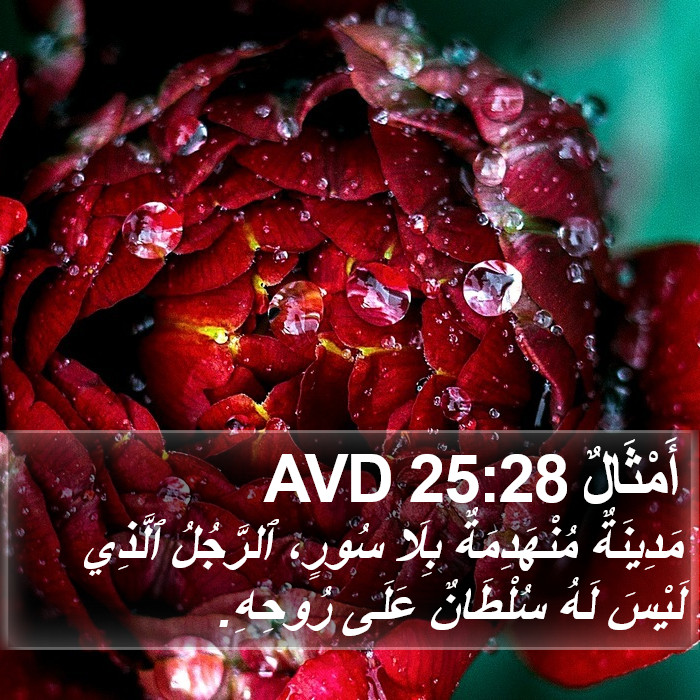 أَمْثَالٌ 25:28 AVD Bible Study