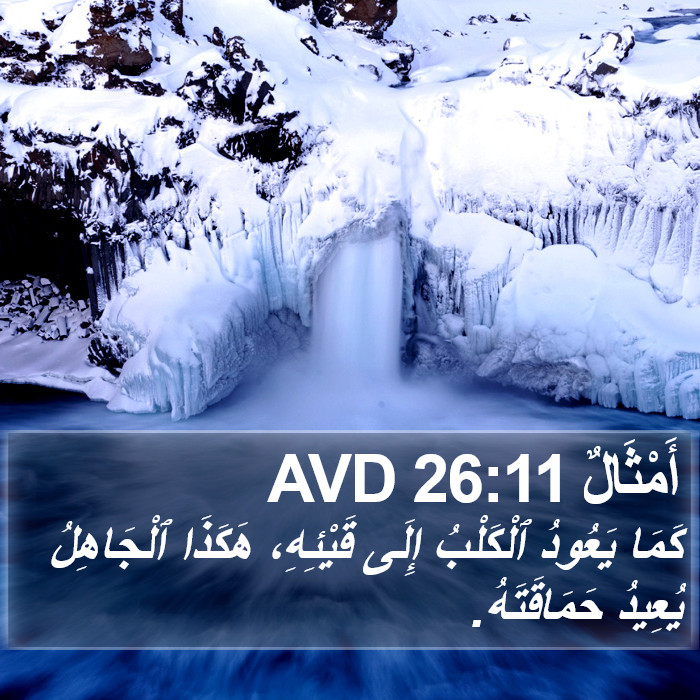 أَمْثَالٌ 26:11 AVD Bible Study