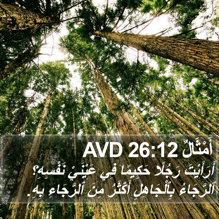 أَمْثَالٌ 26:12 AVD Bible Study