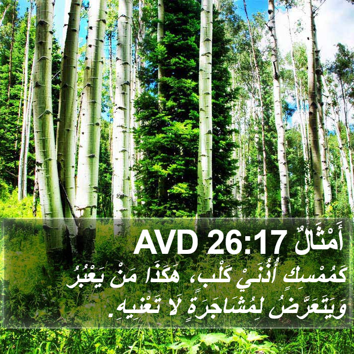 أَمْثَالٌ 26:17 AVD Bible Study