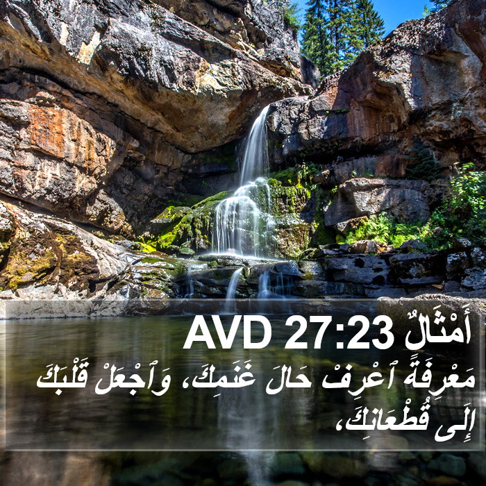 أَمْثَالٌ 27:23 AVD Bible Study