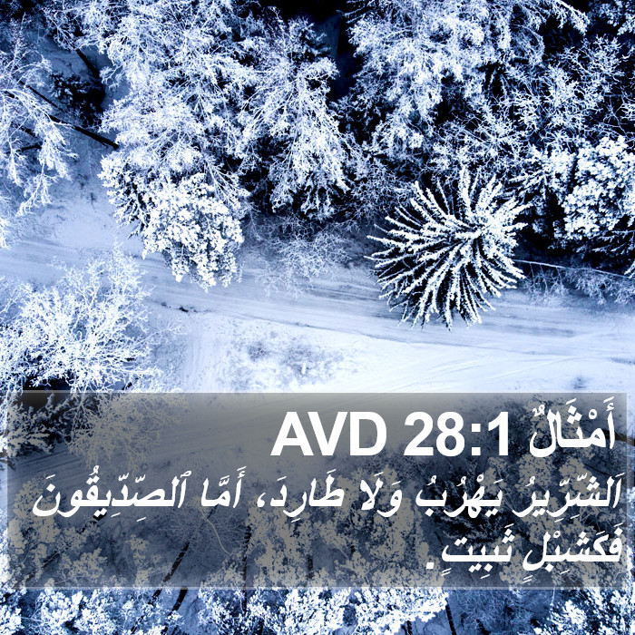 أَمْثَالٌ 28:1 AVD Bible Study