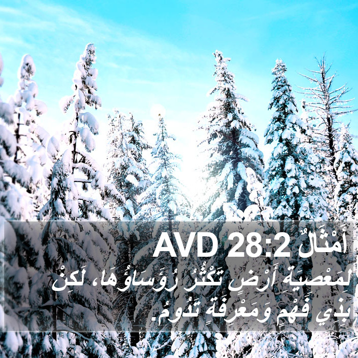 أَمْثَالٌ 28:2 AVD Bible Study