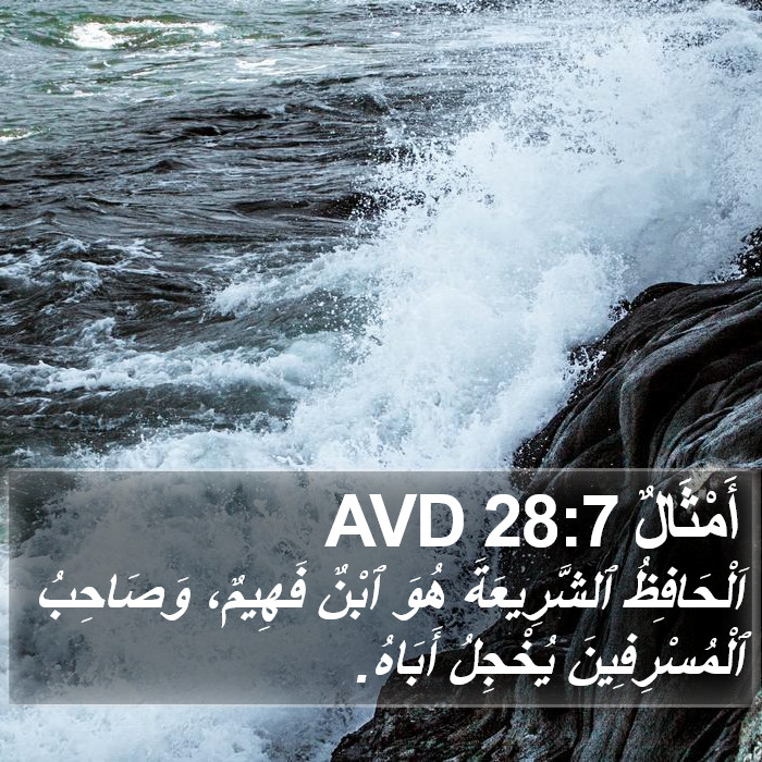 أَمْثَالٌ 28:7 AVD Bible Study