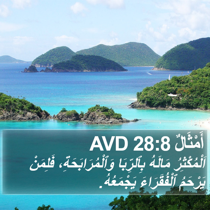 أَمْثَالٌ 28:8 AVD Bible Study