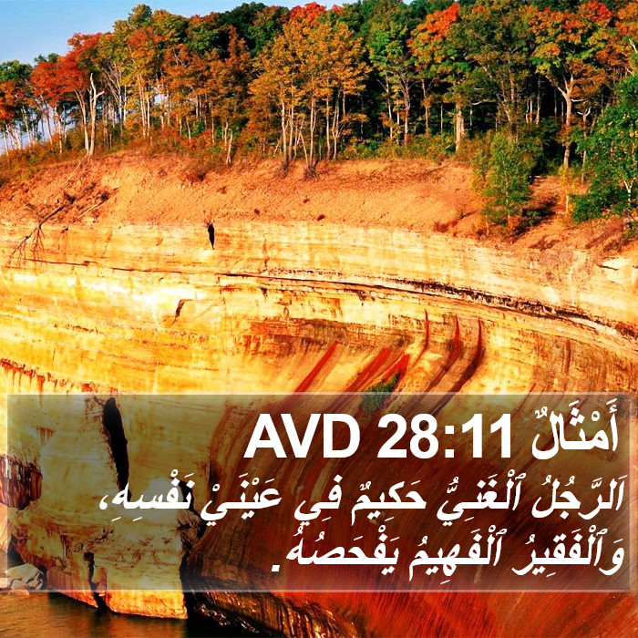 أَمْثَالٌ 28:11 AVD Bible Study