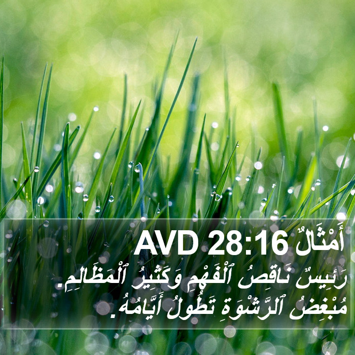 أَمْثَالٌ 28:16 AVD Bible Study