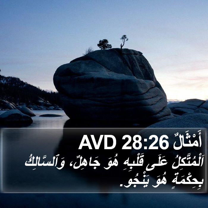 أَمْثَالٌ 28:26 AVD Bible Study