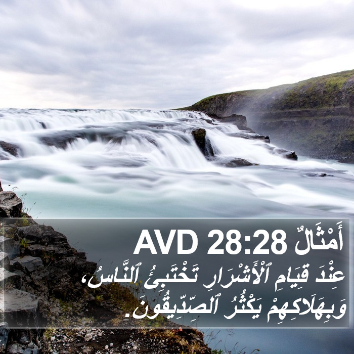 أَمْثَالٌ 28:28 AVD Bible Study