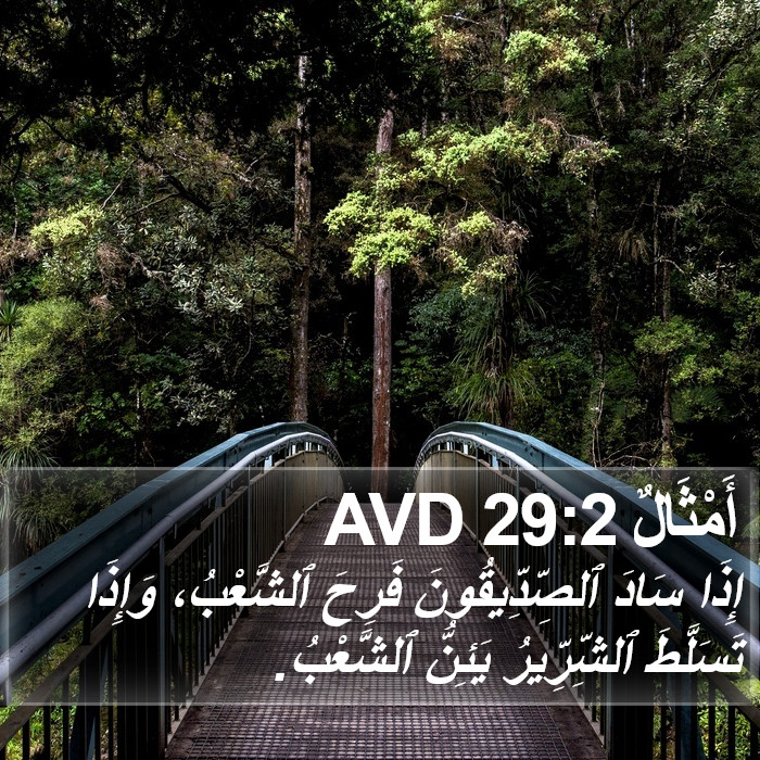 أَمْثَالٌ 29:2 AVD Bible Study