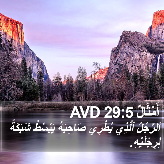 أَمْثَالٌ 29:5 AVD Bible Study