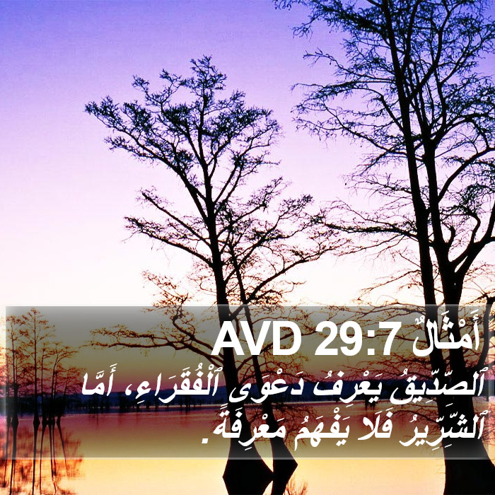 أَمْثَالٌ 29:7 AVD Bible Study