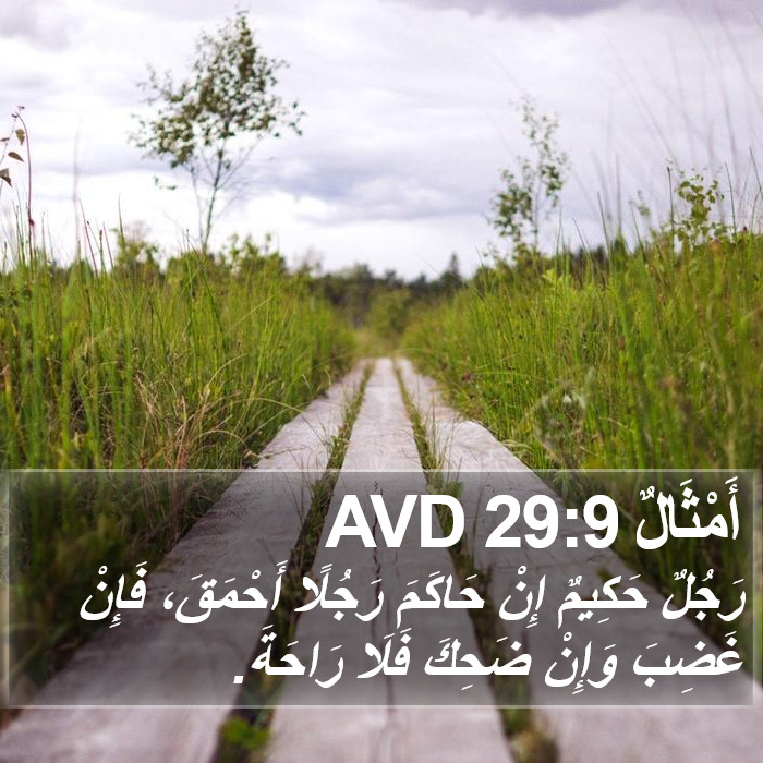 أَمْثَالٌ 29:9 AVD Bible Study