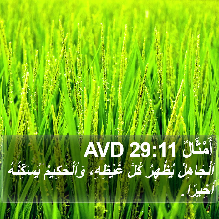 أَمْثَالٌ 29:11 AVD Bible Study